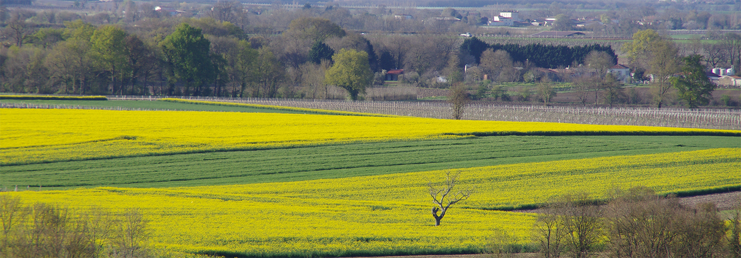 Brizambourg